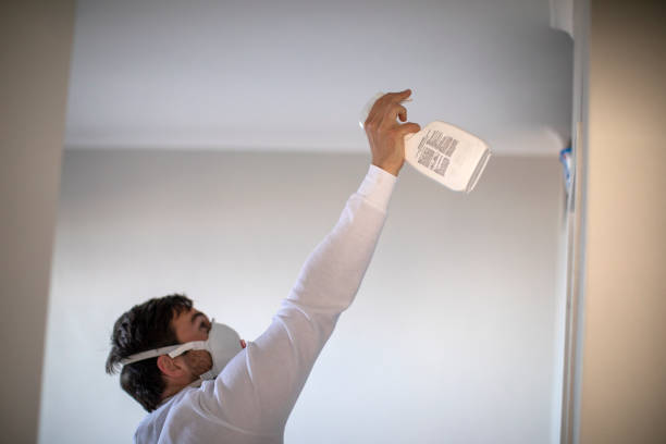 Attic Mold Removal in Finderne, NJ
