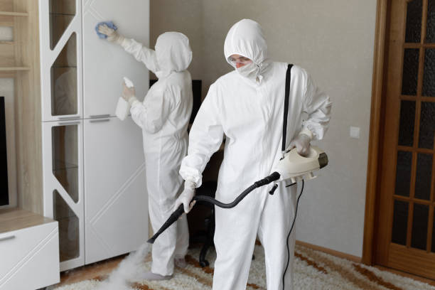 Best Mold Damage Repair  in Finderne, NJ