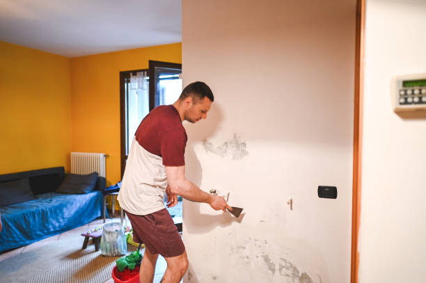 Best Black Mold Removal  in Finderne, NJ